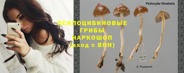 spice Алексин