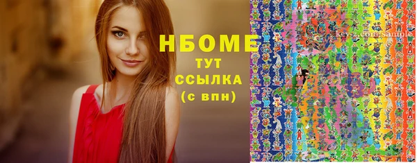 гашик Алексеевка