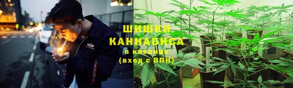 гашик Алексеевка