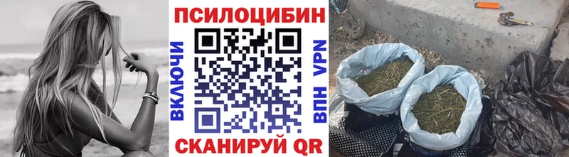 блэк спрут сайт  дарк нет Telegram  Псилоцибиновые грибы Magic Shrooms  Дрезна 